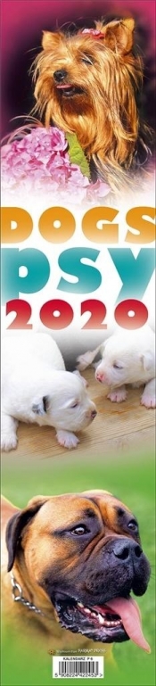 Kalendarz 2020 Paskowy - Psy PP