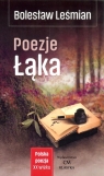 Poezje Łąka Bolesław Leśmian