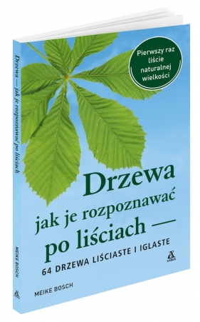 Drzewa. Jak je rozpoznawać po liściach - Meike Bosch