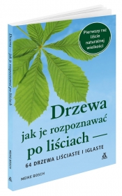 Drzewa. Jak je rozpoznawać po liściach - Meike Bosch
