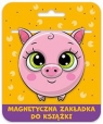  Zakładka magnetyczna Kulka Świnka