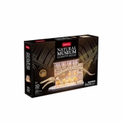 Puzzle 3D led natural museum Płetwal błękitny