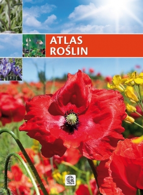 Atlas roślin - Renata Krzyściak-Kosińska, Marek Kosiński