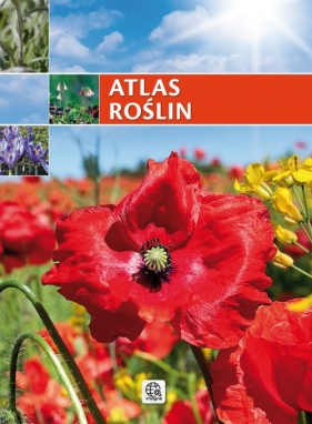 Atlas roślin - Krzyściak-Kosińska Renata, Kosiński Marek