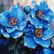 Malowanie po numerach - Fiołki co rano 30x30cm