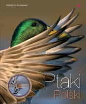 Ptaki Polski z płytą CD - Andrzej G. Kruszewicz