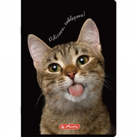 Herlitz, Zeszyt do słówek A6/32k. kratka - Crazy Animal, 1 szt.