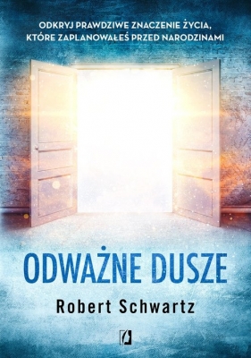 Odważne dusze. Odkryj prawdziwe znaczenie życia, które zaplanowałeś przed narodzinami - Robert Schwartz