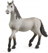 Schleich, Hiszpański młody koń rasy Pura Raza Españolas (SLH13924)
