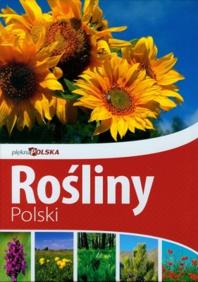 Piękna Polska Rośliny Polski (Uszkodzona okładka) - Krzyściak-Kosińska Renata, Kosiński Marek