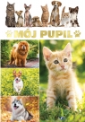  Mój pupil