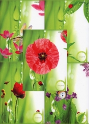 Brulion B5 Top-2000 w kratkę 160 kartek Ladybird mix - <br />