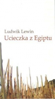 Ucieczka z Egiptu - Ludwik Lewin