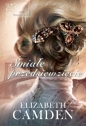 Nowojorskie kobiety T.2: Śmiałe przedsięwzięcie - Elizabeth Camden
