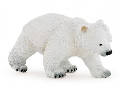 Niedźwiedź polarny młody
