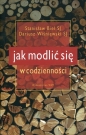 Jak modlić się w codzienności - Dariusz Wiśniewski, Stanisław Biel