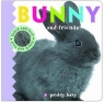 Bunny & Friends Touch and Feel Priddy Roger