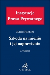 Szkoda na mieniu i jej naprawienie - Maciej Kaliński