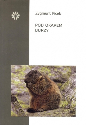 Pod okapem burzy - Zygmunt Ficek