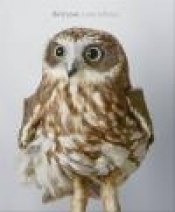 Bird Love