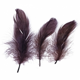 Piórka 16g Brązowe 5-12cm