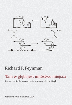 Tam w głębi jest mnóstwo miejsca - Feynman P. Richard