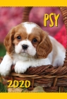 Kalendarz ścienny 2020 Psy