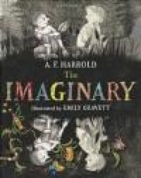 The Imaginary