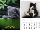 Kalendarz 2020 wieloplanszowy Koty dwustronny