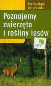 Poznajemy zwierzęta i rośliny lasów - Dorota Zawadzka