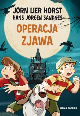 Operacja Zjawa - Hans Jørgen Sandnes, Jørn Lier Horst