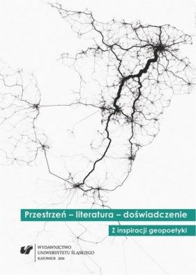 Przestrzeń literatura doświadczenie - Tomasz Gęsina, Zbigniew Kadłubek