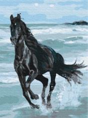 Obraz Paint it! Malowanie po numerach. Czarny koń (BS29330)