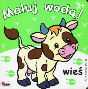 Maluj wodą wieś - Mariola Budek