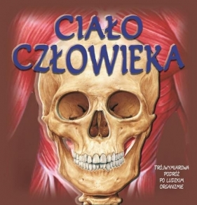 Ciało człowieka - Sue Harris