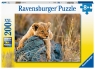 Ravensburger, Puzzle XXL 200: Mały lew (12946) Wiek: 8+