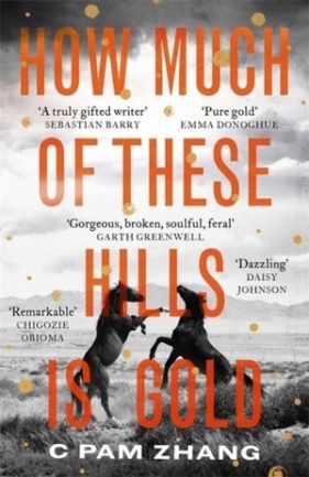 How Much of These Hills is Gold - Pam Zhang C.