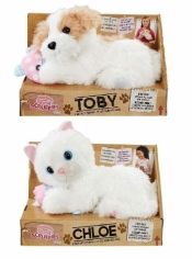 Scruffies Chloe / Toby i przyjaciel