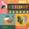 How Many Birds? Marcos Farina