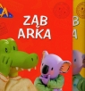 Bracia Koala Ząb Arka / Skarb pirata