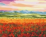  Malowanie po numerach BRUSHME 40x50 cm Zachód Słońca nad Polem Kwiatów