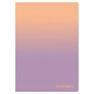 Coolpack, Teczka Clear Book - Gradient Berry (03463CP)
