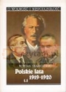 Polskie lata 1919-1920 t.1 Skaradziński Bohdan