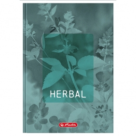 Brulion Herlitz Standard Blossom A5/96k kratka z marginesem, 1 szt