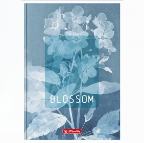 Brulion Herlitz Standard Blossom A5/96k kratka z marginesem, 1 szt