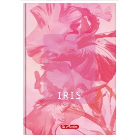 Brulion Herlitz Standard Blossom A5/96k kratka z marginesem, 1 szt