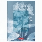 Brulion Herlitz Standard Blossom A5/96k kratka z marginesem, 1 szt