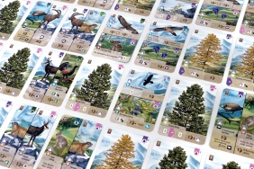 Leśne rozdanie: Alpy (dodatek) - Kosch, Toni Llobet, Judit Piella