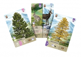 Leśne rozdanie: Alpy (dodatek) - Kosch, Toni Llobet, Judit Piella