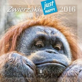 Kalendarz praktyczny 2016 PK 06 Zwierzaki - <br />